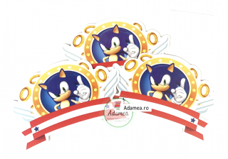 Banner cu Sonic