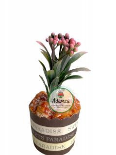 Decor de tort din plastic cu laur englezesc cu fructe roz