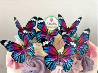 Set 6 fluturi monarh roz cu albastru