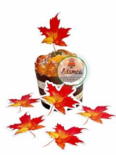 Set de toppere de tort cu 6 frunze de artar toamna