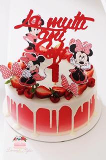 Suita party Minnie rosu