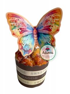 Topper de tort cu fluture mare superb colorat