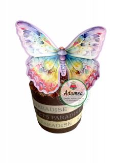 Topper tort cu fluture mare superb pastelat