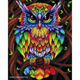 Kit goblen cu diamante Bufnita curcubeu, cu sasiu, 40X50 cm, 34 culori
