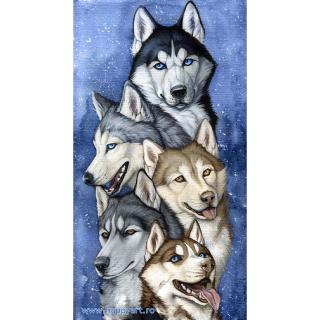 Kit goblen cu diamante, fara sasiu, Huskies in echipa, 38X70 cm, diamante patrate, 51 culori, nivel avansat, DE6063