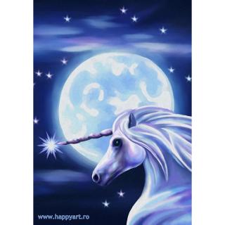 Kit goblen cu diamante, fara sasiu, Unicorn, 19X27 cm, diamante patrate, 20 culori, nivel avansat, DE7057