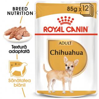 Royal Canin Chihuahua Adult Plic 85 G