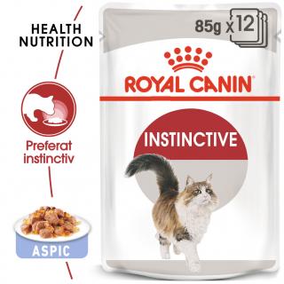 Royal Canin Instinctive In Jelly Plic 85 G