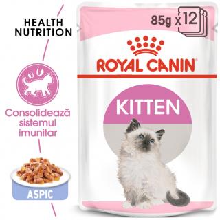 Royal Canin Kitten In Jelly Plic 85 G