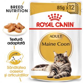 Royal Canin Maine Coon Adult Plic 85 G