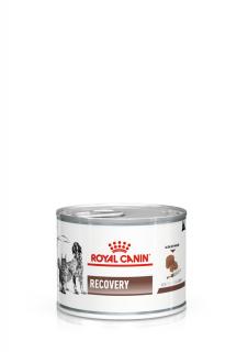 Royal Canin Recovery DogCat Conserva