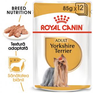 Royal Canin Yorkshire Terrier Plic 85 G