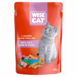 Wise Kitten Plic cu Miel in Sos