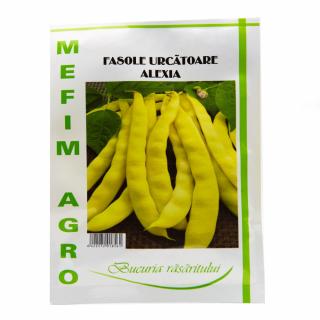 Alexia, fasole urcatoare