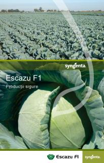 Escazu F1