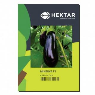 Minerva F1, seminte de vinete, Hektar