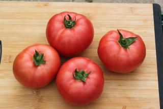 Seminte de tomate nedeterminate, tip beef, Manekro F1, 500 sem
