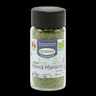 Condiment Menta Marocco ECOLOGIC - 20g (Recipient Sticla)