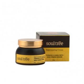 Crema antirid cu turmeric si amla, 50 ml - Soultree