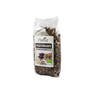Fulgi crocanti BIO de ovaz cu ciocolata 250g