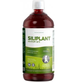 SILICIU G7 SILIPLANT, Siliciu organic extras din planta coada-calului, 1000 ml