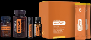 The MetaPWR System