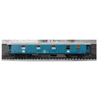 Poster 3d Train Molotow mare