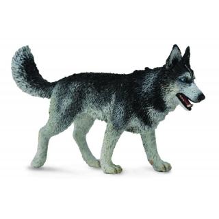 Figurina Caine Husky Siberian L