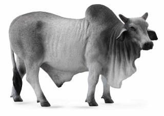 Figurina Taur Brahman L