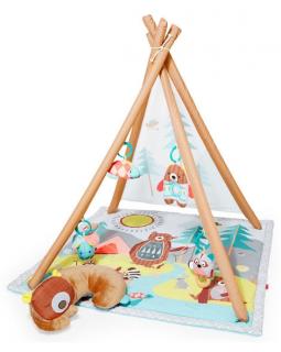 Salteluta de activitati Skip Hop ,   Camping Cub