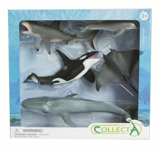 Set De 5 Figurine Pictate Manual Viata Marina