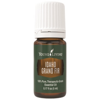 Idaho Grand Fir Essential Oil