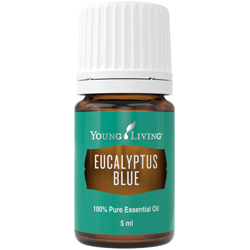 Ulei Esential Eucalip Albastru (Ulei Esential Eucalyptus Blue) 5 ML