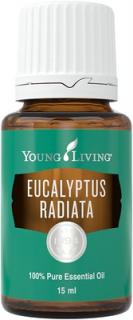 Ulei esential Eucalipt Radiata (Ulei esential Eucalyptus Radiata) 15 ML