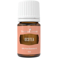 Ulei Esential Ocotea 5 ML