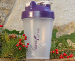 YL Blender Bottle