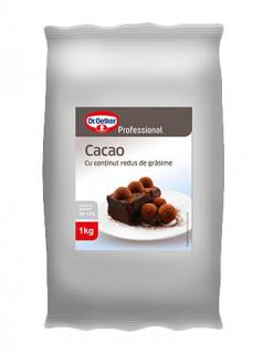DR OETKER Professional Cacao cu Continut Redus de Grasime 1Kg
