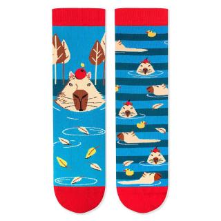 Sosete bumbac Arty Socks Capybara Albastru