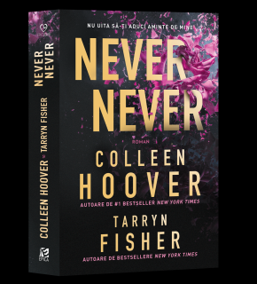 Never Never - Colleen Hoover