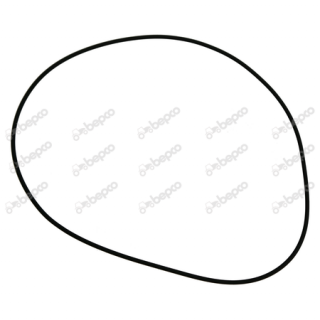 O-Ring butuc fata 200 x 3 mm - Case IH