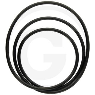 O-ring cutie Massey Ferguson 221,84 x 3,53 mm 359130x1