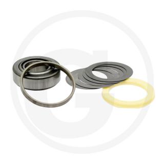 Rulment pivot Fendt G385301020050
