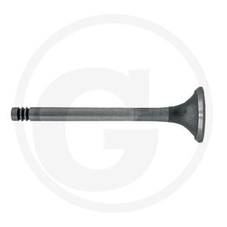 Supapa evacuare MWM D227-4