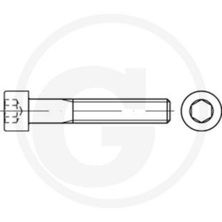 Surub cilindric M20x70 mm