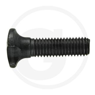 Surub lant 9x31 mm