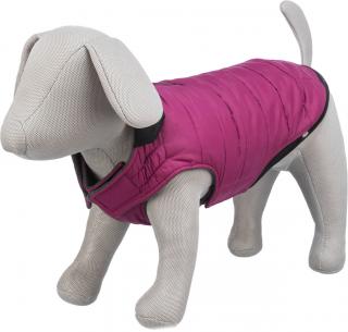 (-25%) Hainuta Arlay, XS: 30 cm, Visiniu, 680334