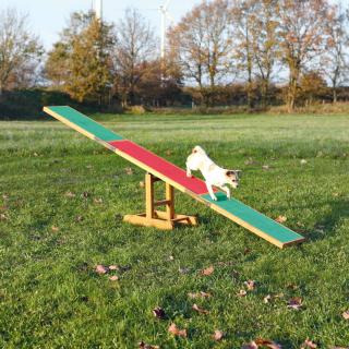 Balansoar Pentru Caini, Fun Agility, 300x54x34 cm, Pana la 80 kg, 3213t