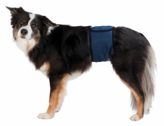Banda (Incontinenta Urinara) Pentru Caini Masculi, L: 55-65 cm, Albastru, 23664t