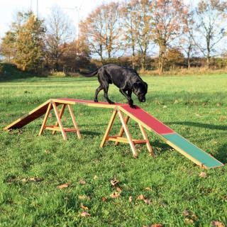 Barna Pentru Caini, Fun Agility, 456x64x30 cm, Pana la 80 kg, 32090t