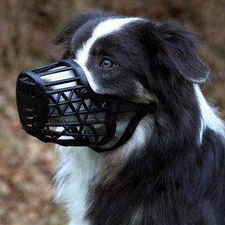 Botnita Plastic, S-M: 22 cm, 17603